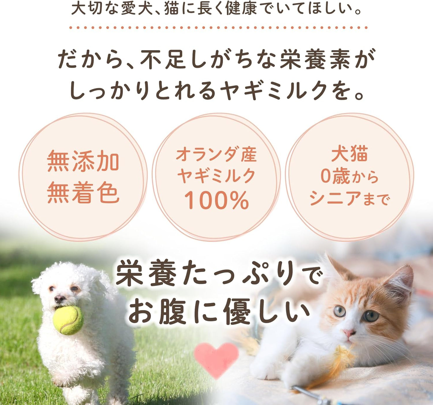 無添加無着色　毎日のごちそうヤギミルク（ホエイプロテイン） 50g