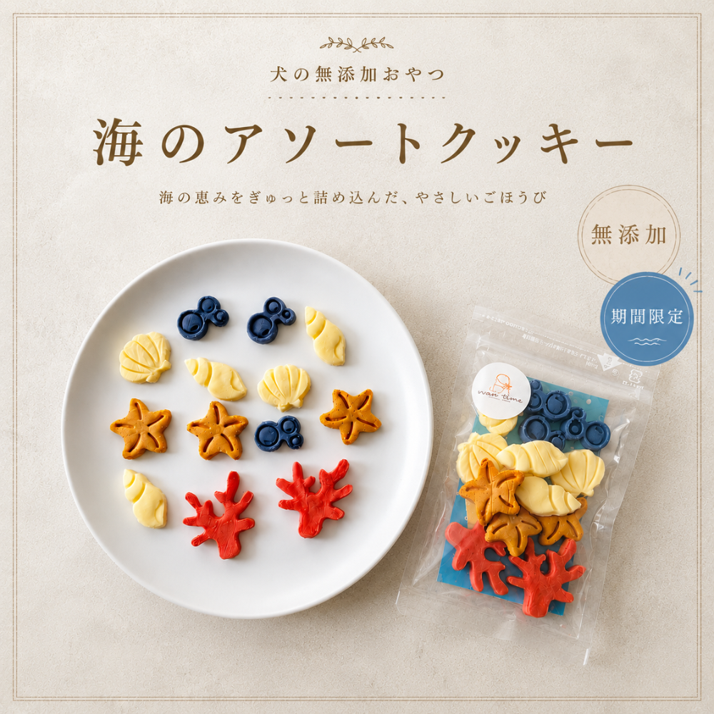 季節限定　海のアソートクッキー2袋&選べる人気のクッキー2袋セット　　